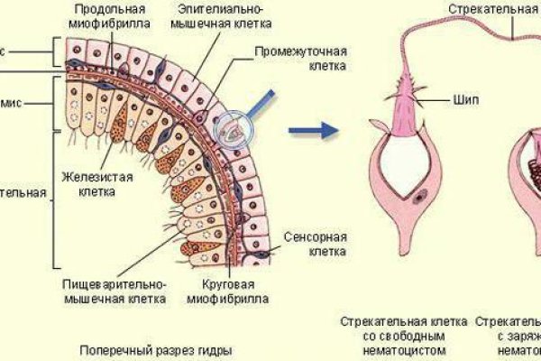 Ссылка кракен через тор