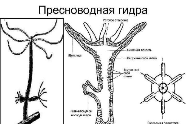 Как найти сайт кракен