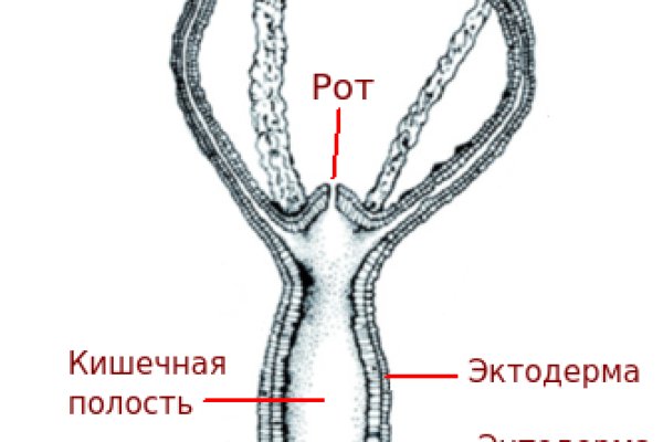 Kraken сайт покупок