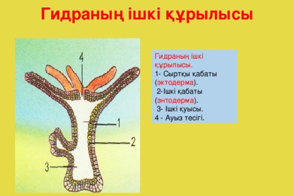 Сайт кракен магазин kraken2 tor2 xyz
