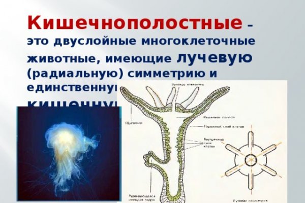 Кракен оф ссылка